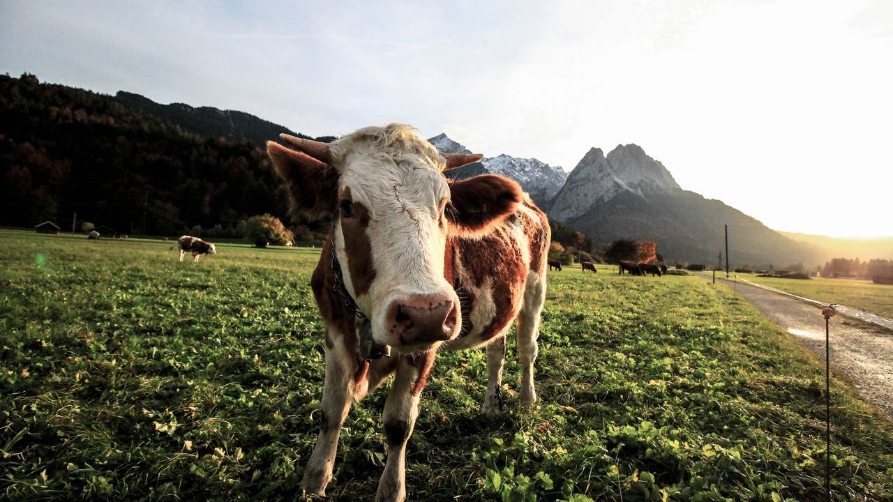 September 2018: The Month in Review