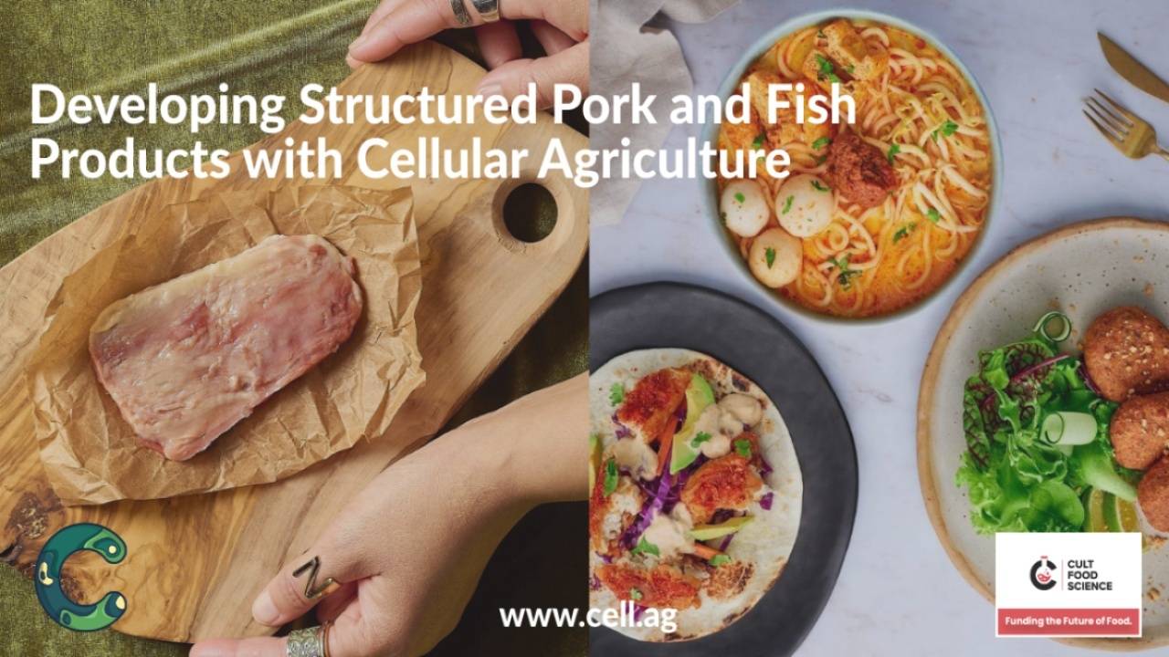 Developing Structured Pork and Fish Products with Cellular Agriculture