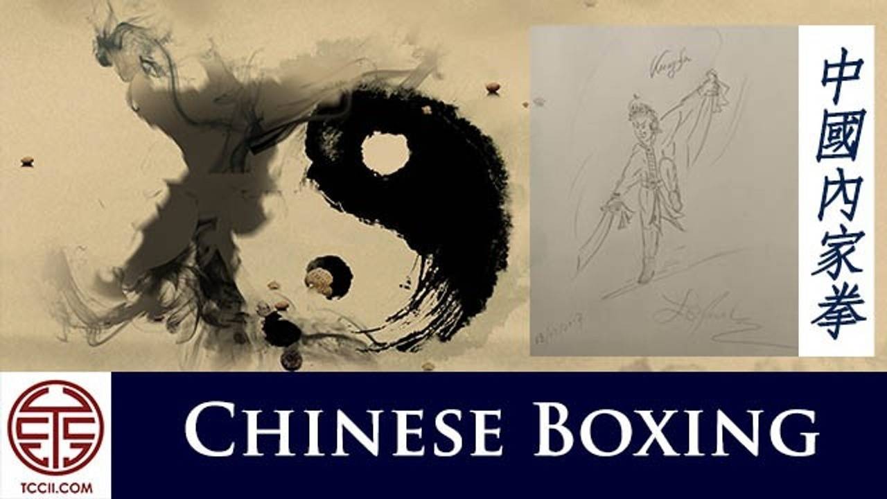 Chinese Boxing, Internal Kung Fu, Energy Boxing, Sanda, San Shou