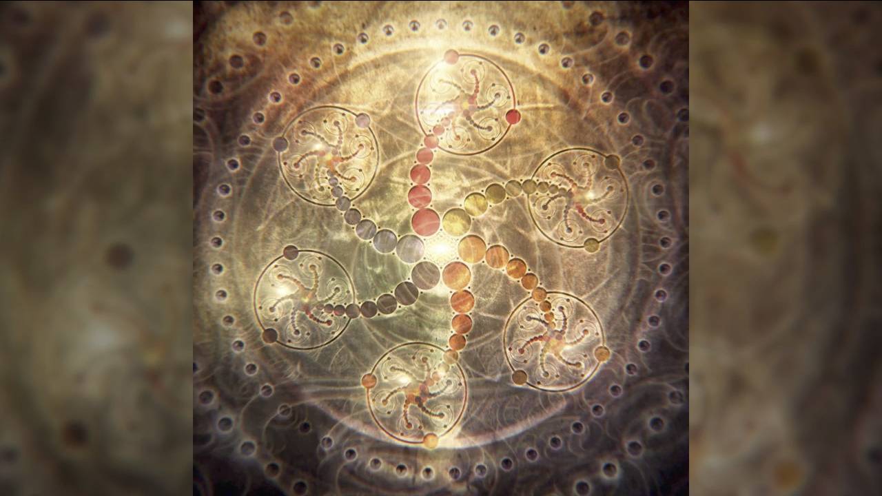 1. Heiler für Newsletter-AbonnentInnen