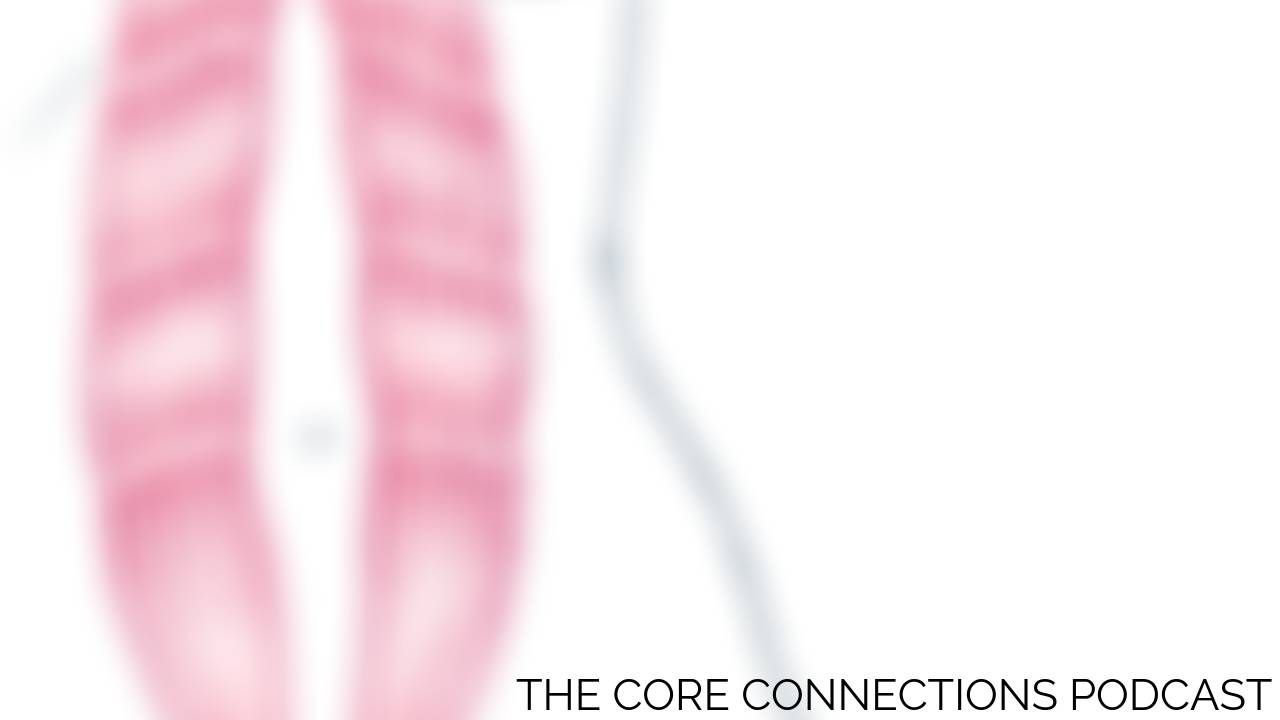 6 Diastasis Recti Questions Answered