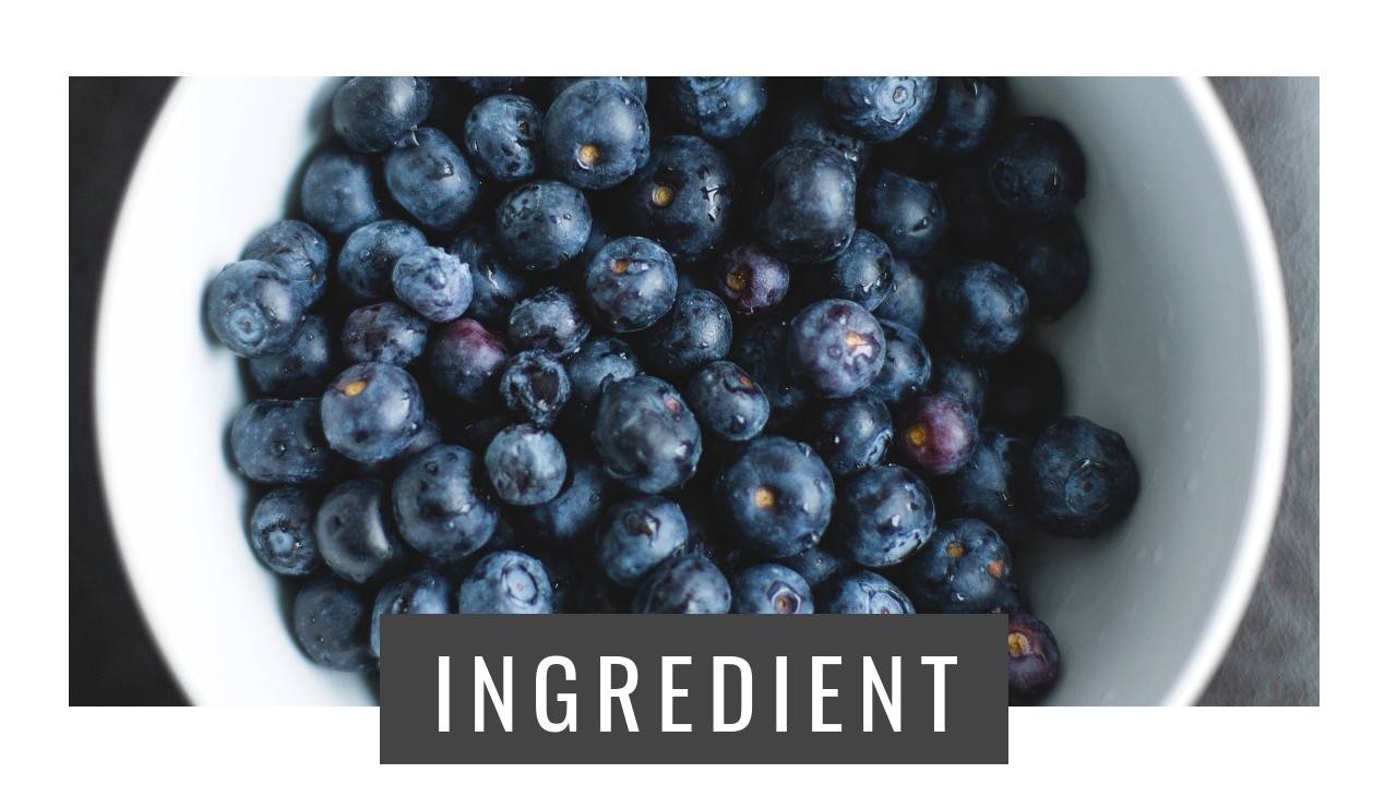 Why we call blueberries... BRAIN BERRIES!