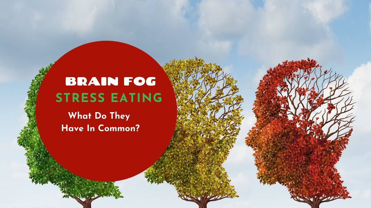 Brain Fog and Stress Eating