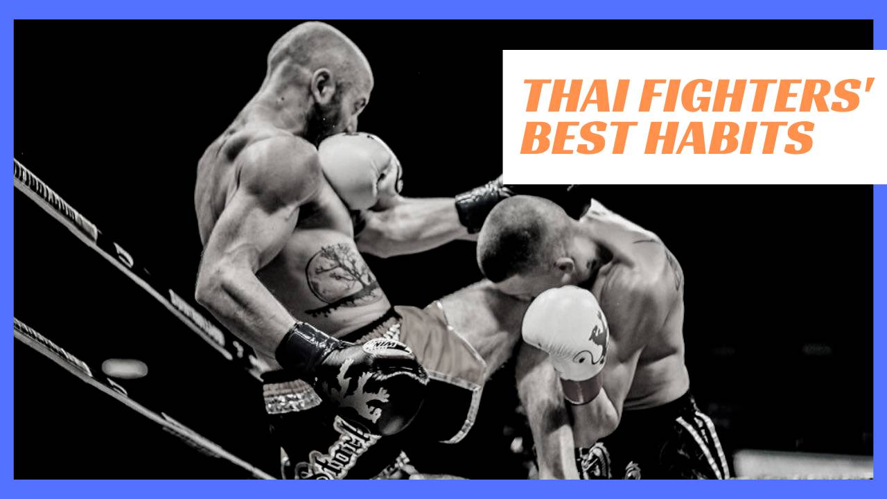 MUAY THAI DAILY visual data 7