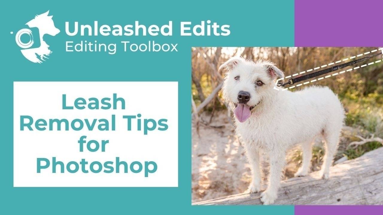 Editing Toolbox Leash Removal Tips for