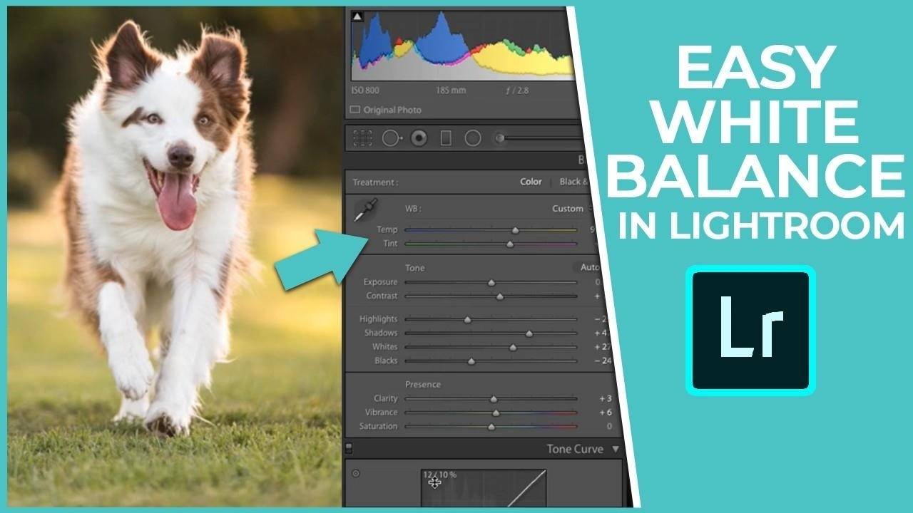 Easy white balance in Lightroom