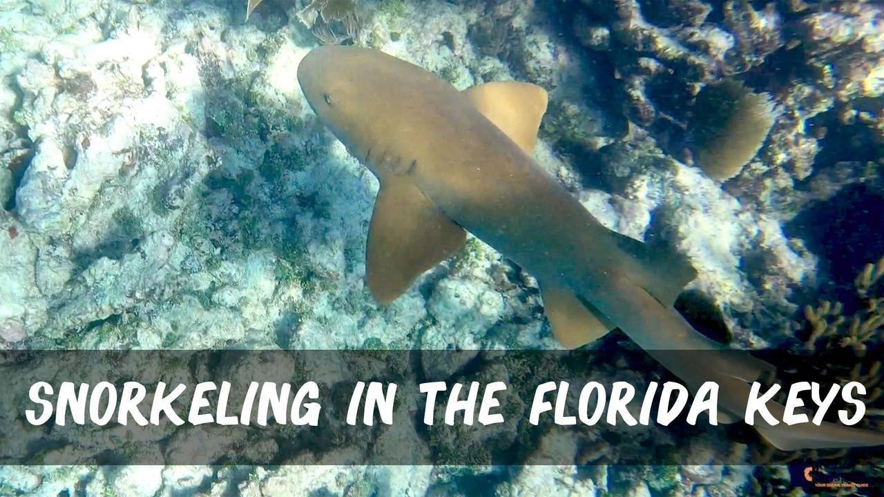 Snorkeling the Grecian Rocks - John Pennekamp Coral Reef State Park