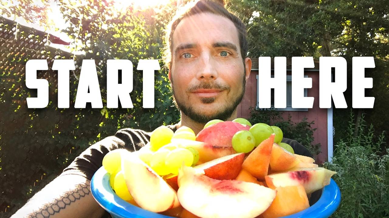 How To Go Raw Vegan - Free Video Course