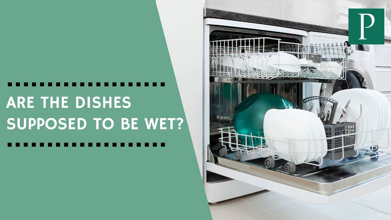 Are The Dishes Supposed To Be Wet?