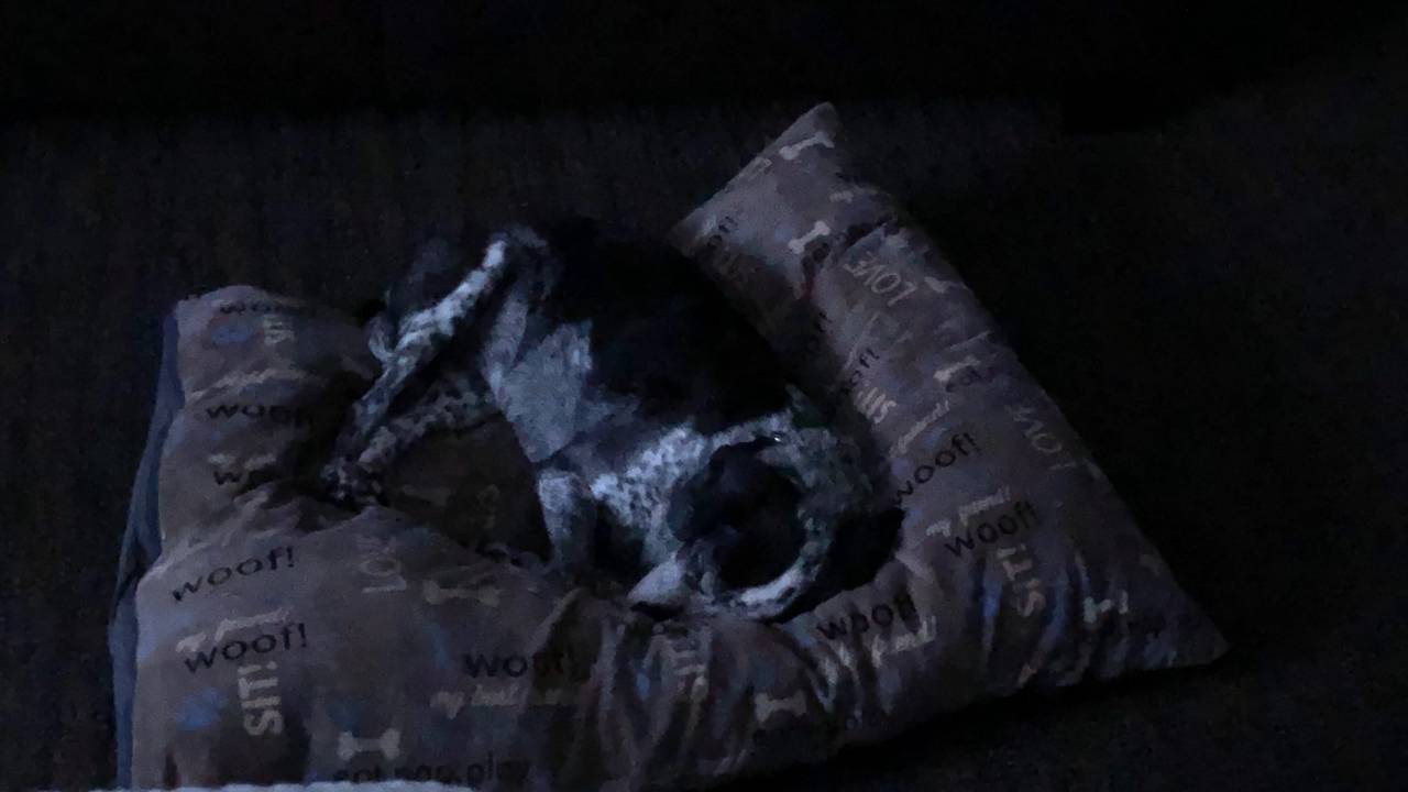 The Year of Goodbyesa Meditation