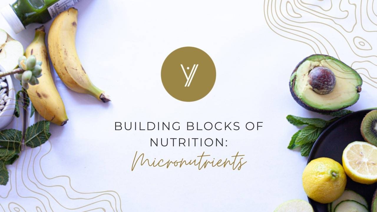 Building Blocks of Nutrition Micronutrients