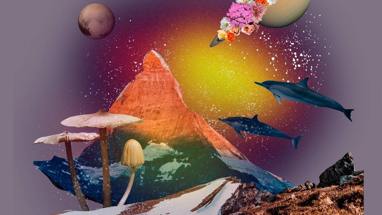 launch-trauma