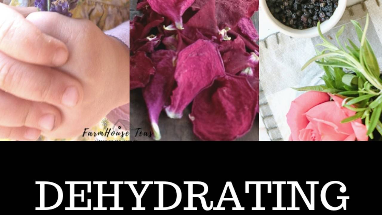 Dehydrating Flowers, Fruits & Botanicals (For DIY Herbal Tea)