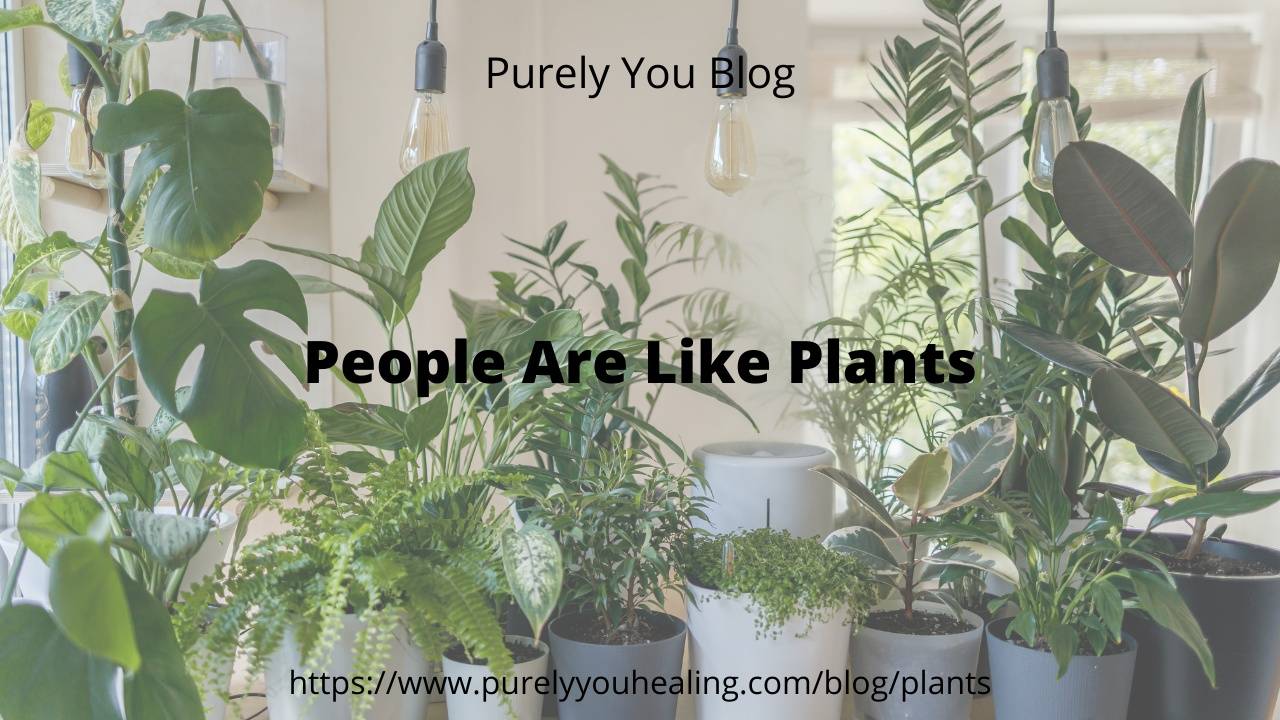 People Are Like Plants