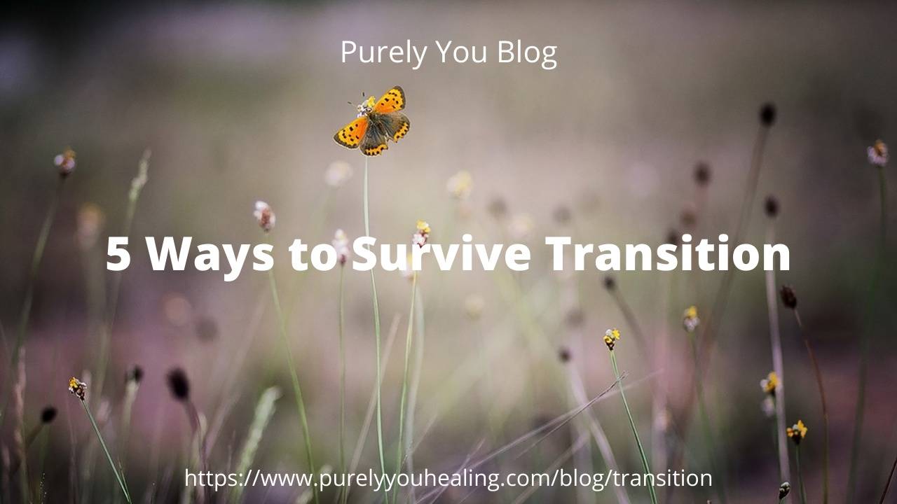 5 Ways to Survive Transition