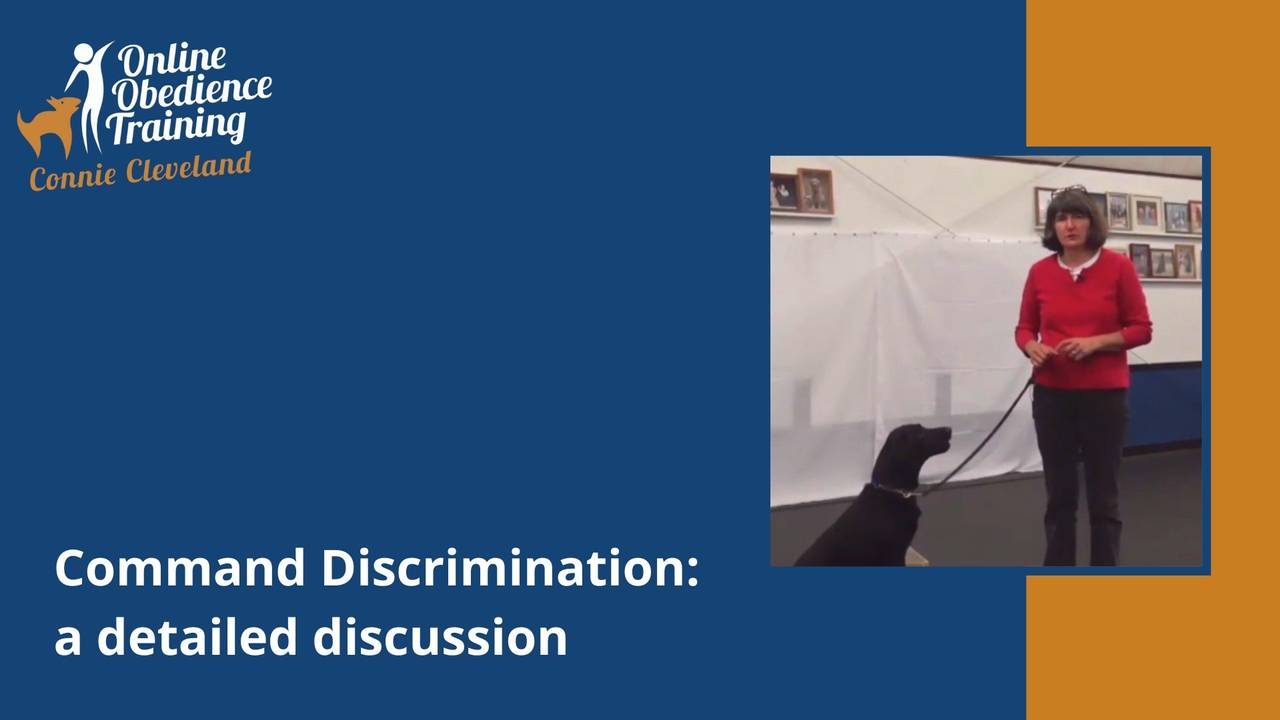 Command Discrimination A Detailed Discussion command-discrimination-a-detailed-discussion