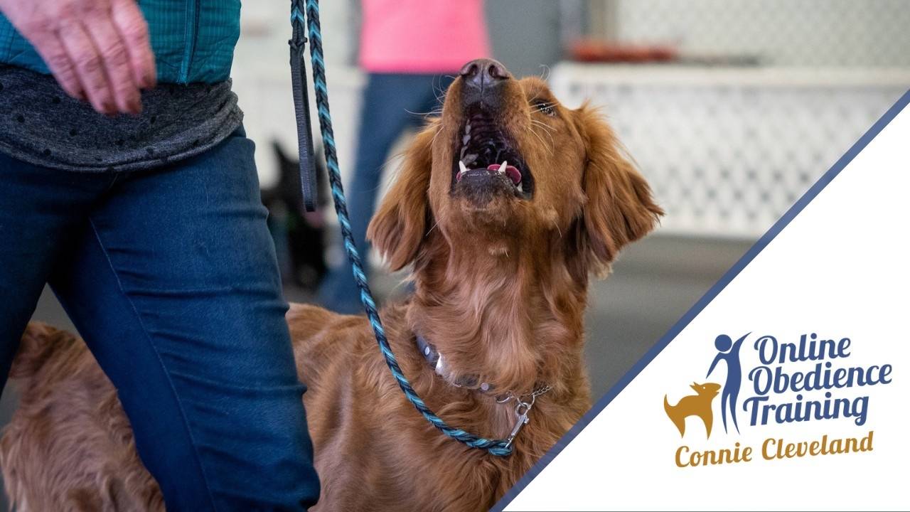 Help For Common Heeling Problems