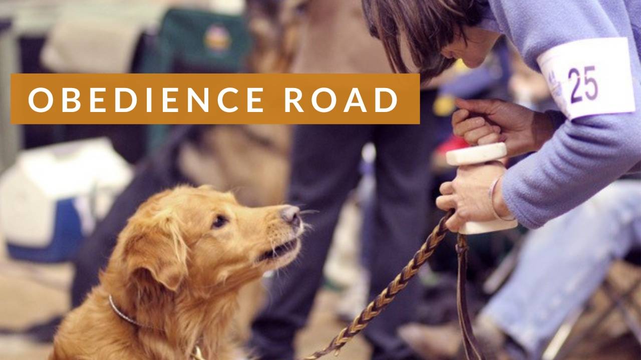 Obedience Road