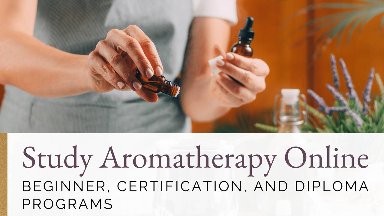 Online Aromatherapy Programs Essence of Thyme