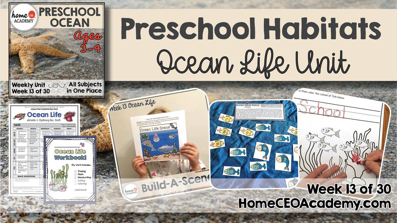 Preschool Habitats Ocean Theme by Home CEO Academy
