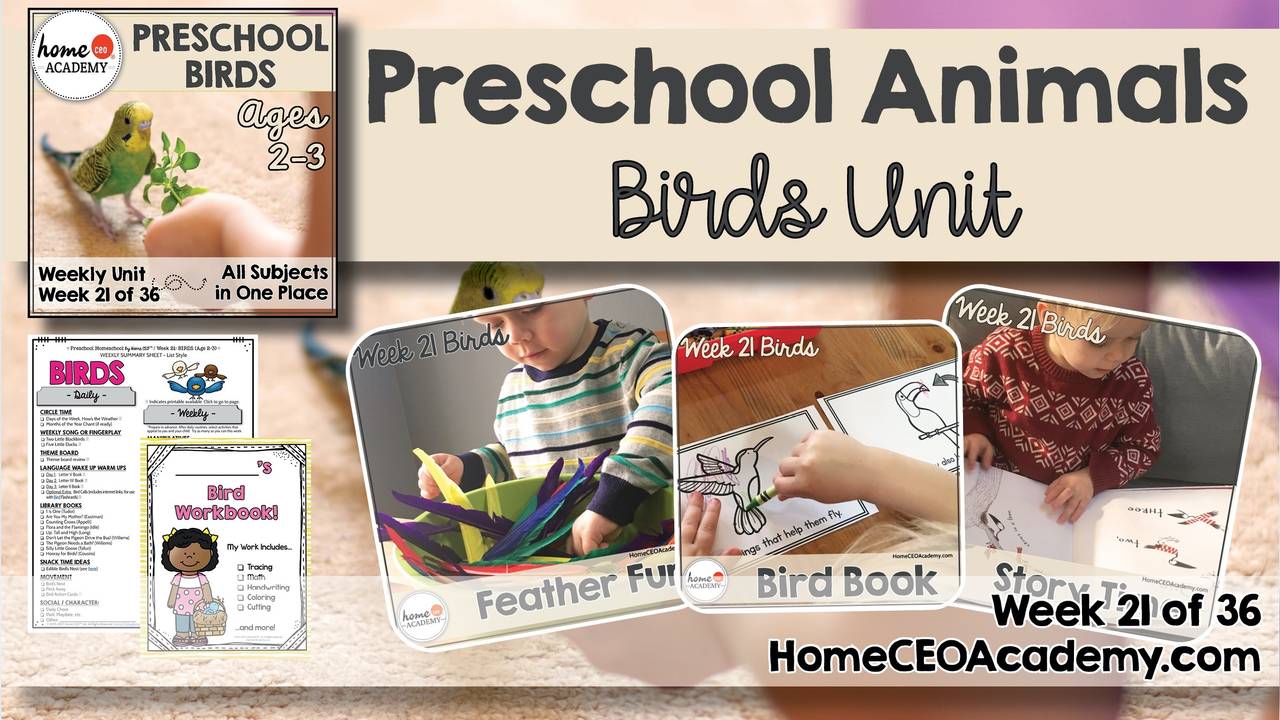 Preschool Animals: Birds Theme by Home CEO Academy