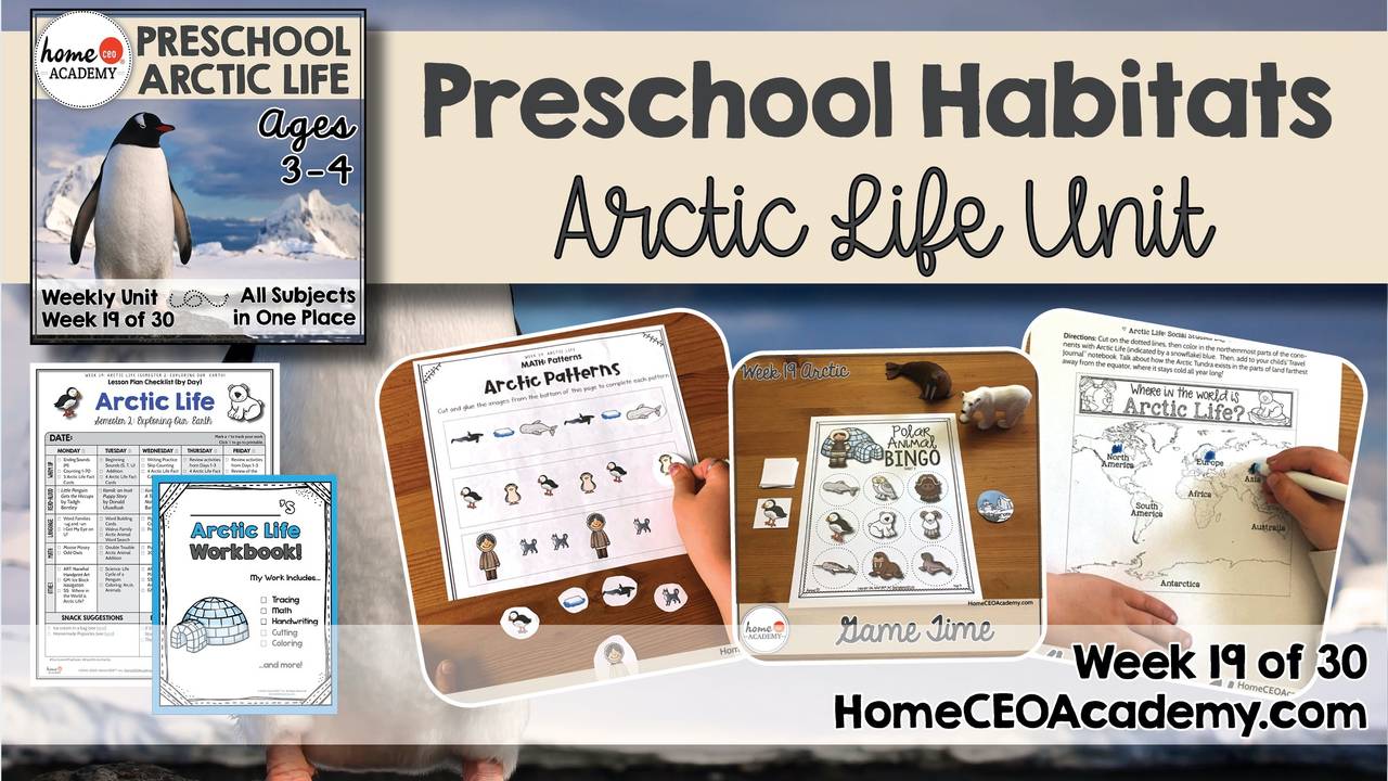 Preschool Habitats Arctic Theme by Home CEO Academy