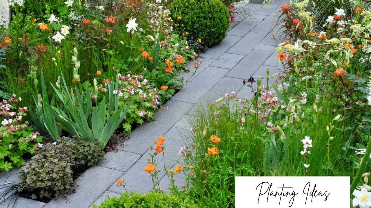 How to Create Exciting Flower Color Combinations?