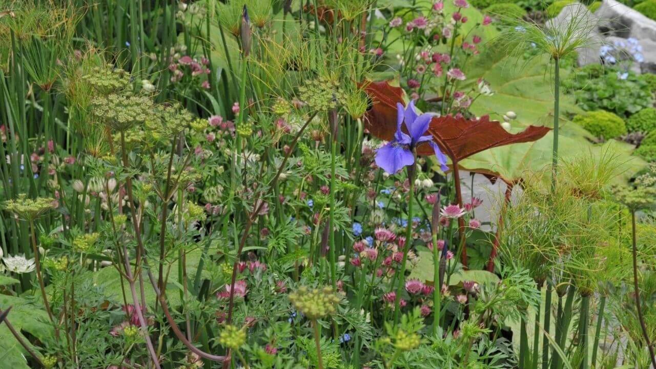 How To Prevent Flooding In Your Garden