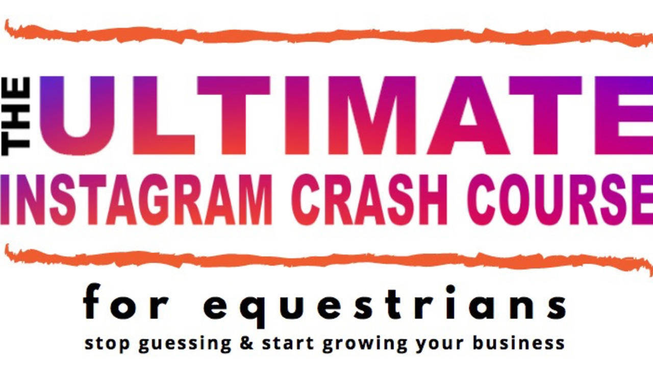 Terms of Use The Equestrian Digital Marketing Agency