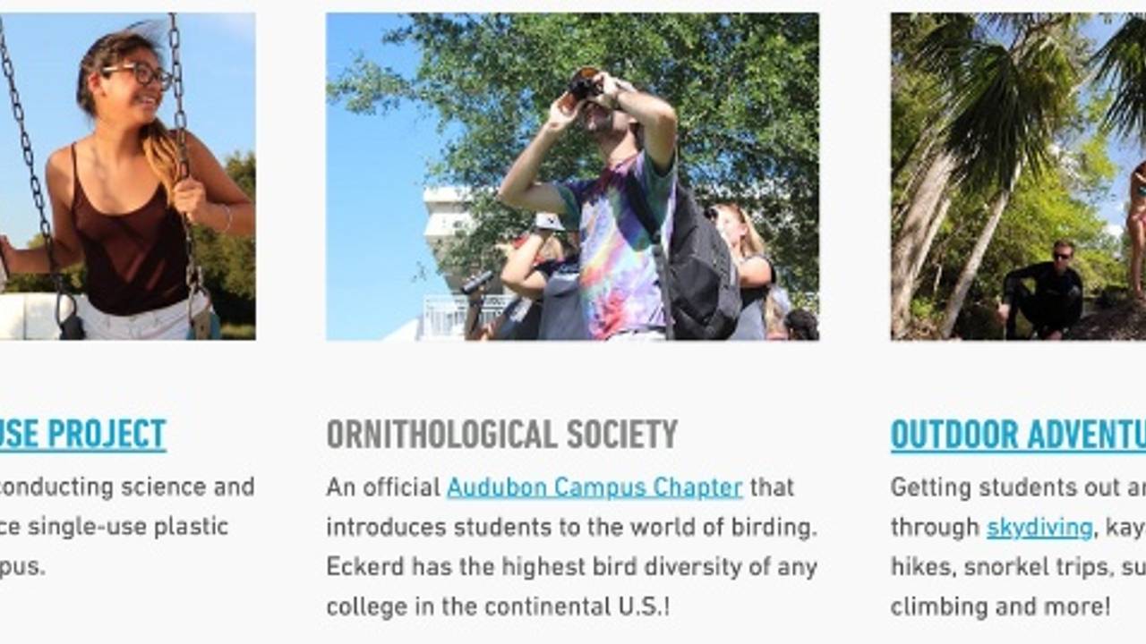 Eckerd college animal behaviour class