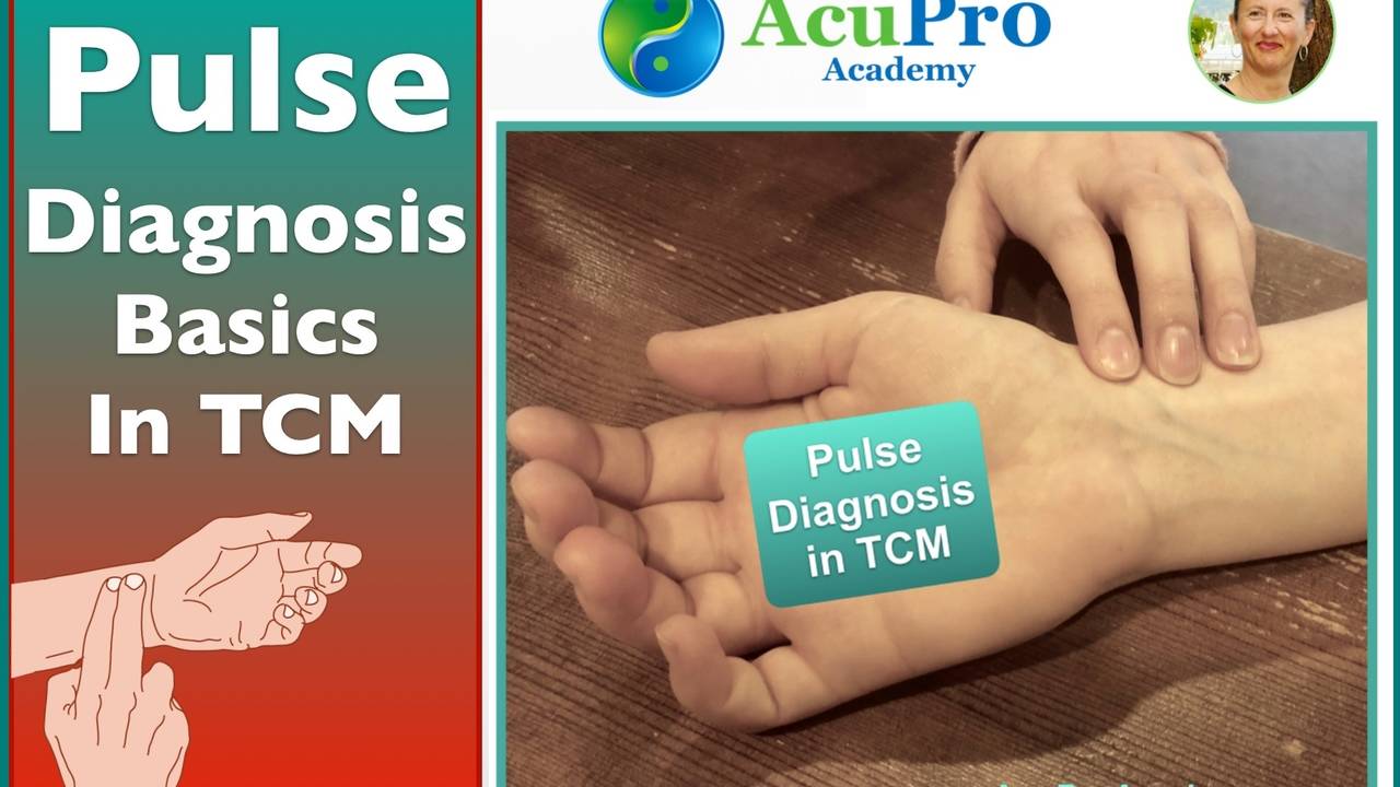 Pulse Diagnosis in TCM