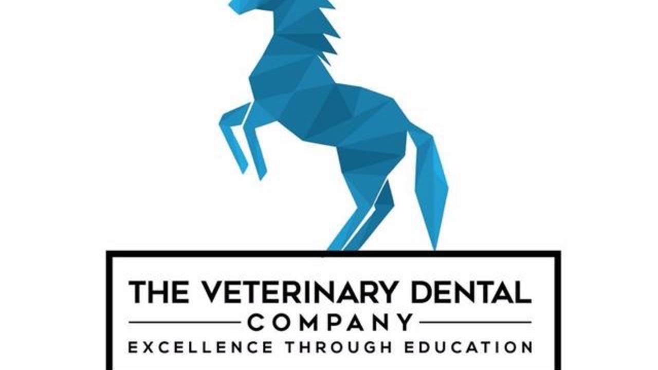 The Veterinary Dental Company Excellence Through Education