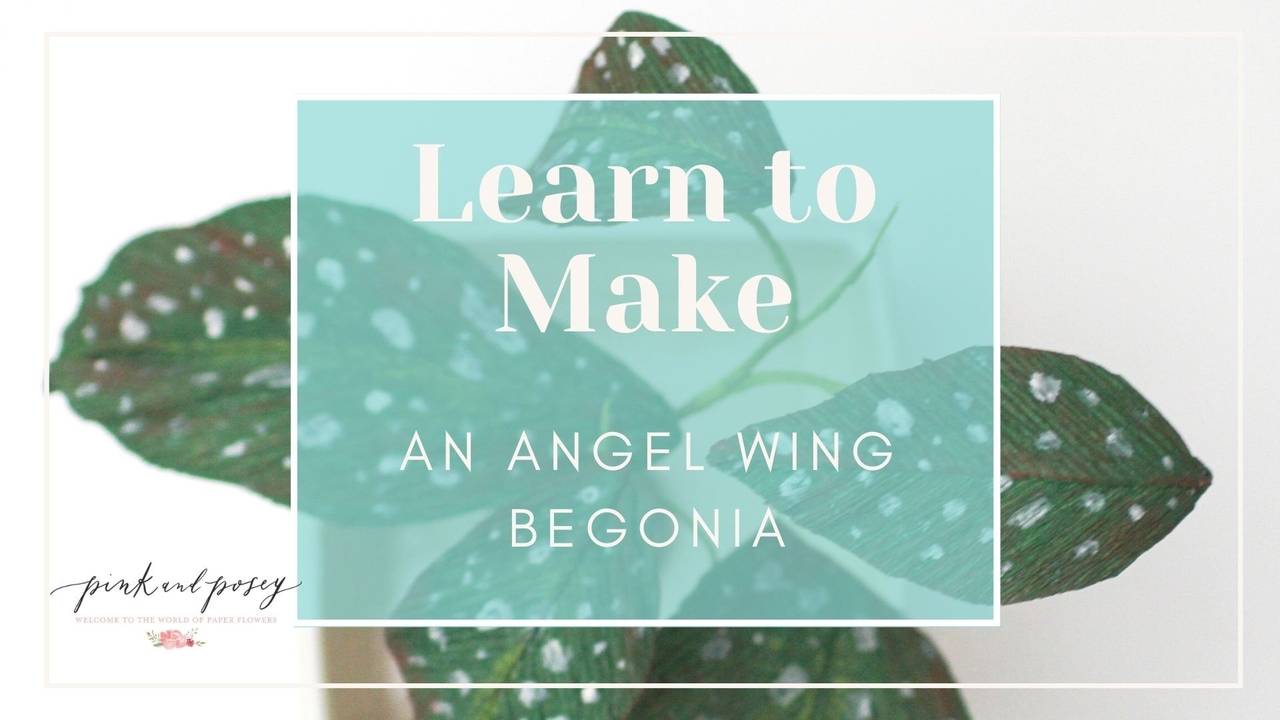 Angel Wing Begonia Tutorial
