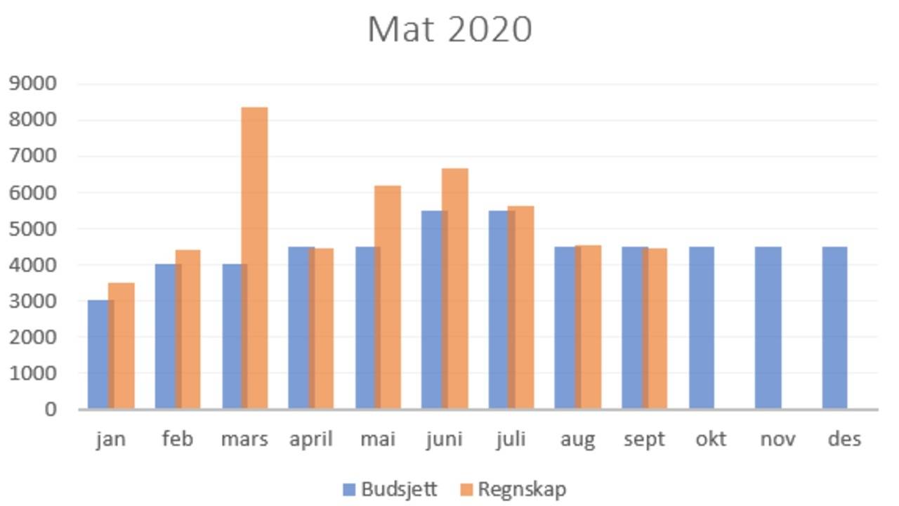 Matbudsjett oppdatering