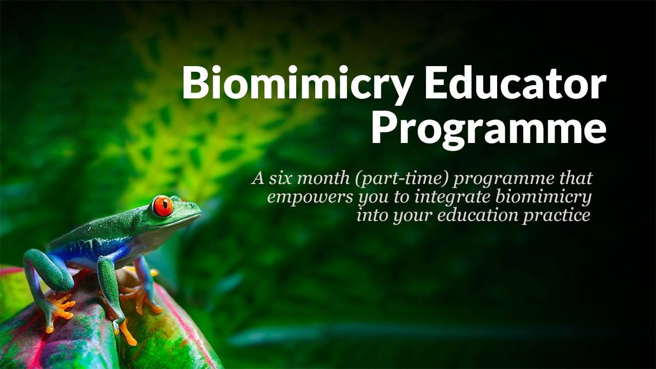 Biomimicry Educator Programme