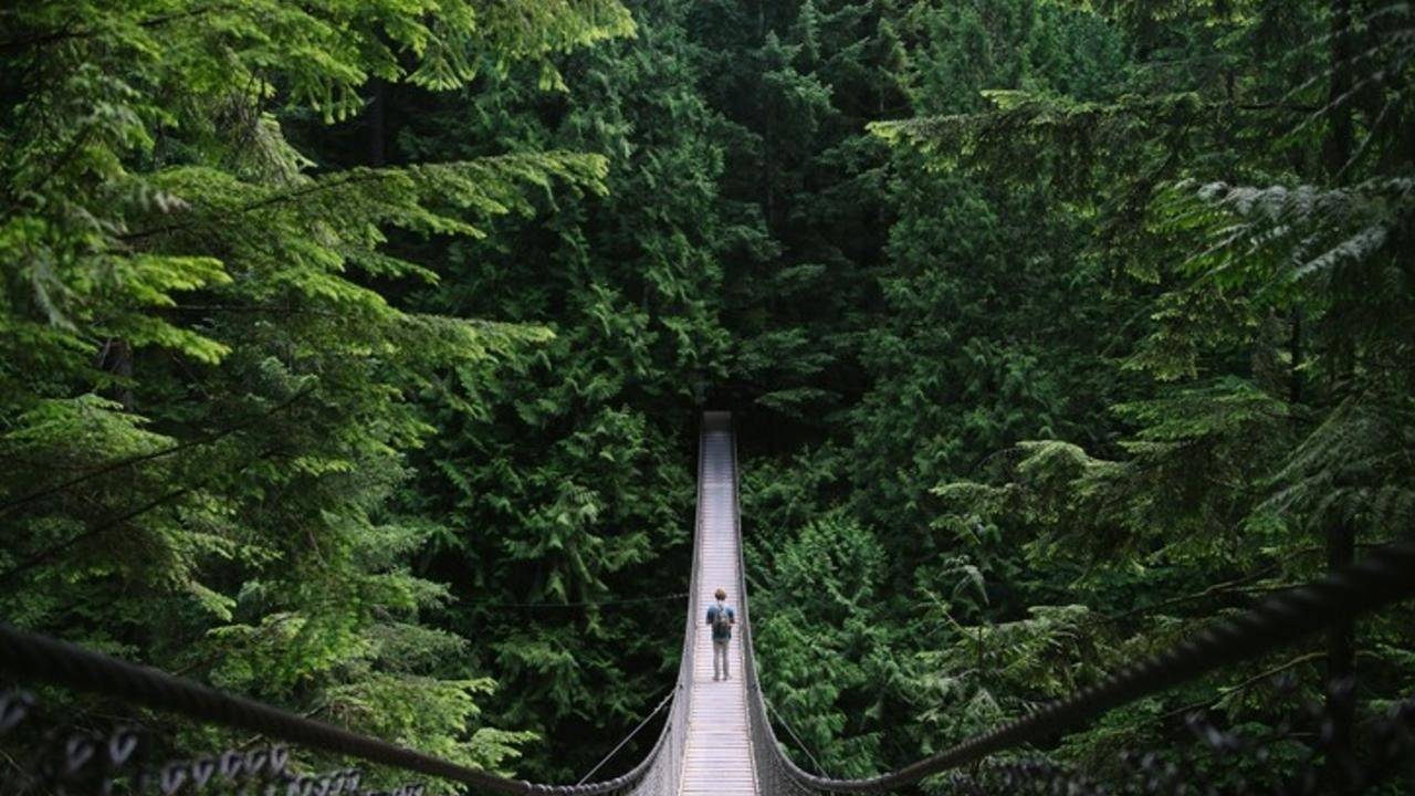 Developing Digital Discipleship Pathways