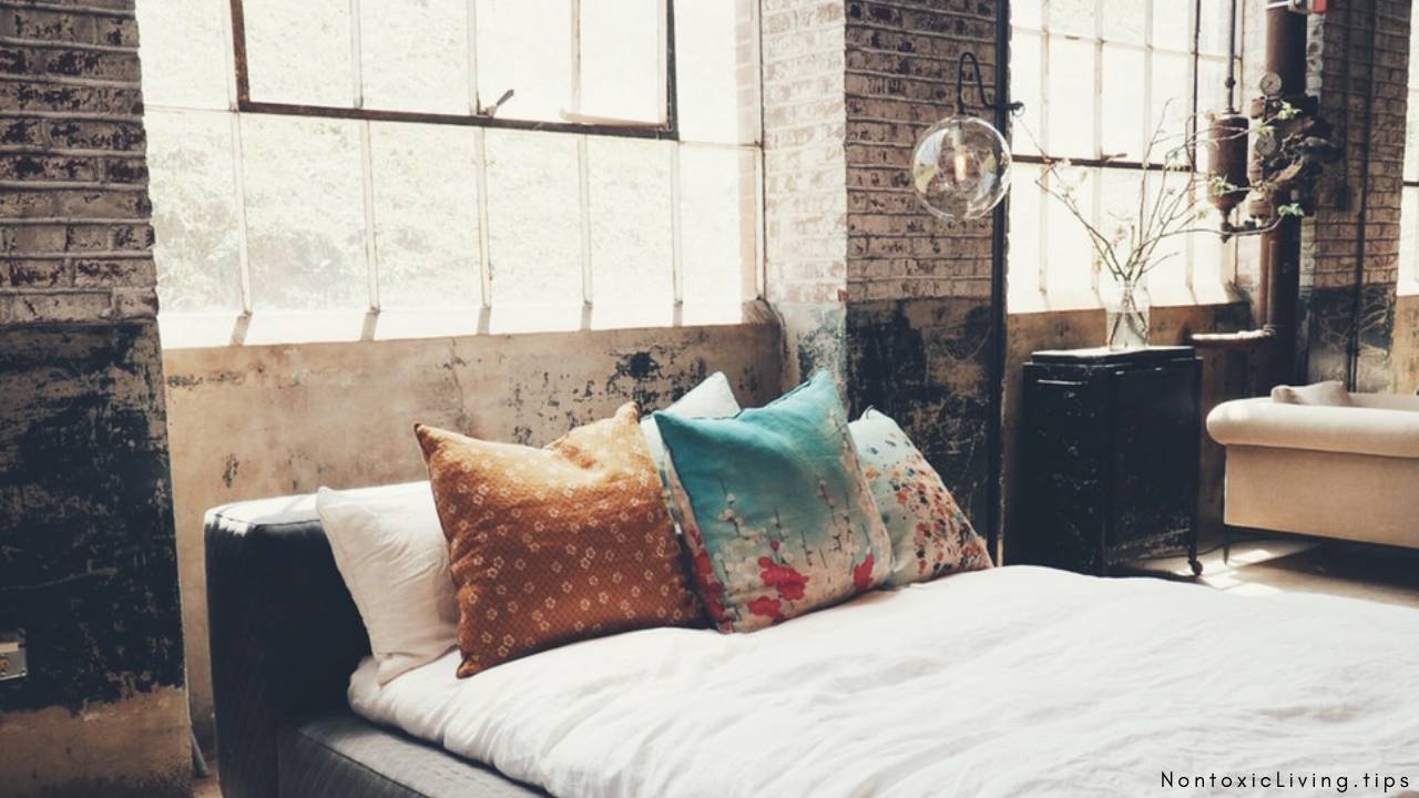 How To Remove Cat Allergens From Couch