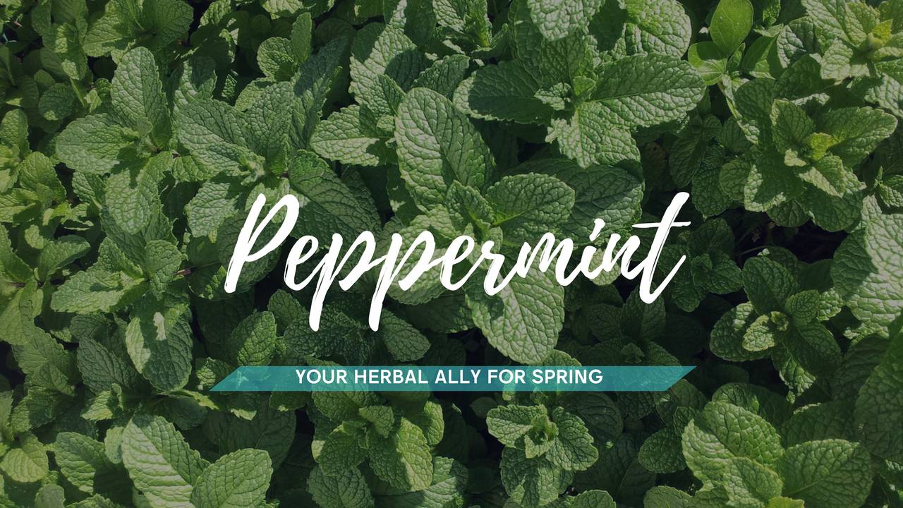Peppermint can help relieve allergy symptoms?