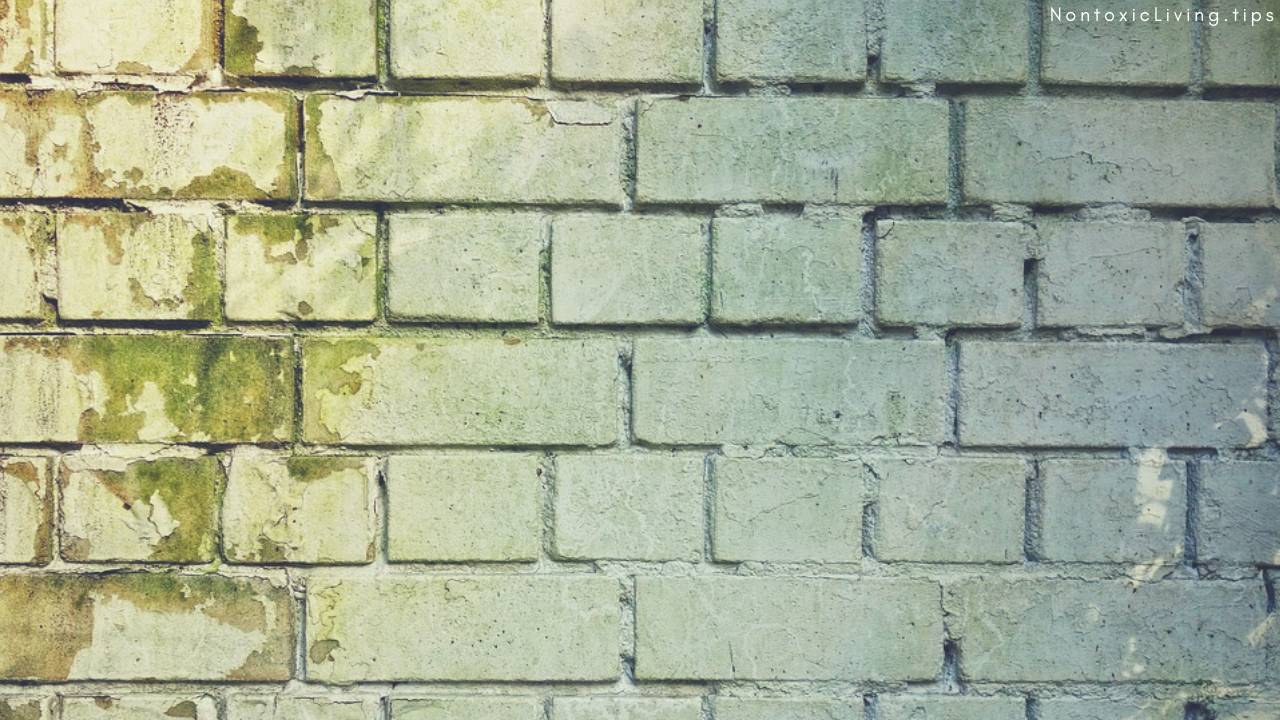 Symptoms of Mold in Your Bedroom Nontoxic Living