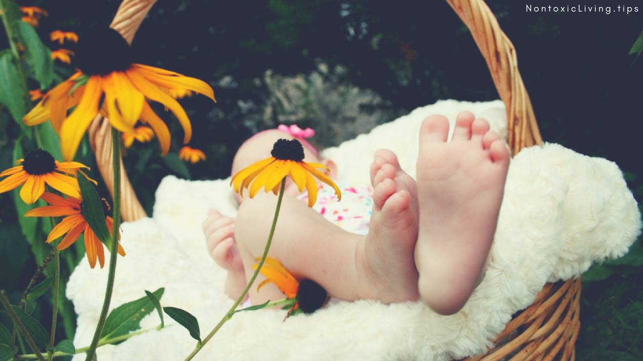 non toxic bassinet