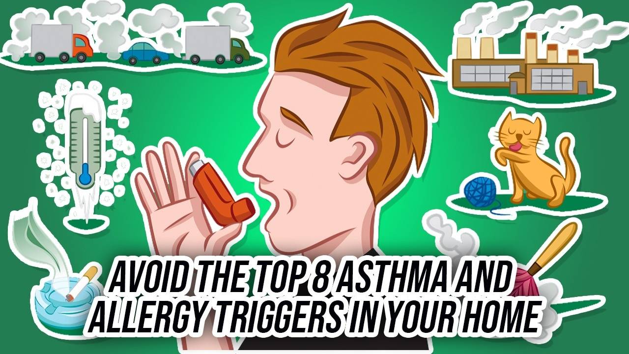 Avoid the top 8 asthma and allergy triggers in your home