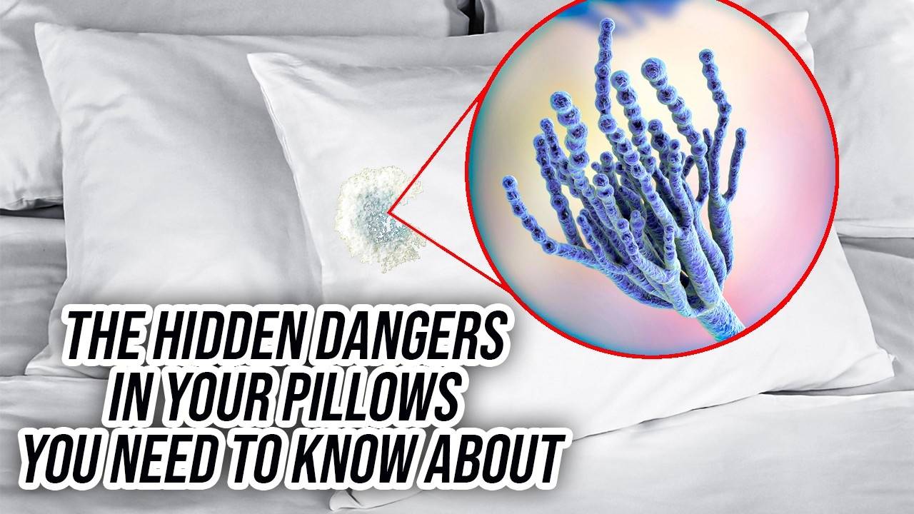 The Hidden Dangers In Your Pillows You Need To Know About