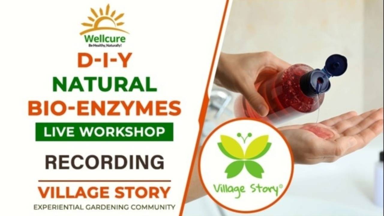 DIY Natural BioEnzymes LIVE by Village Story