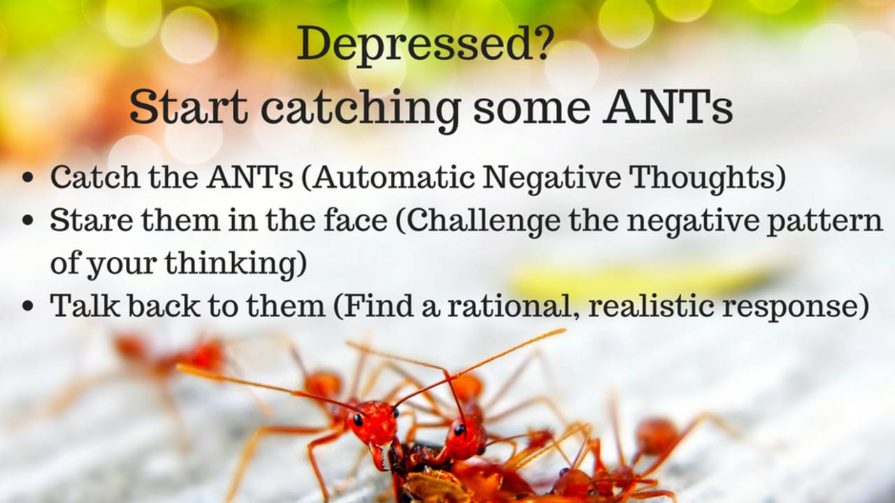 Stressed Ant Depressed? Start Catching Some ANTs!