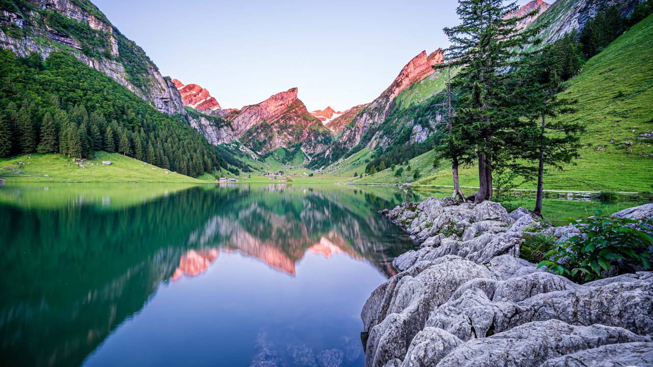 Quarterly Photography Contest Through the Viewfinder Magazine