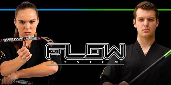 The Flow System