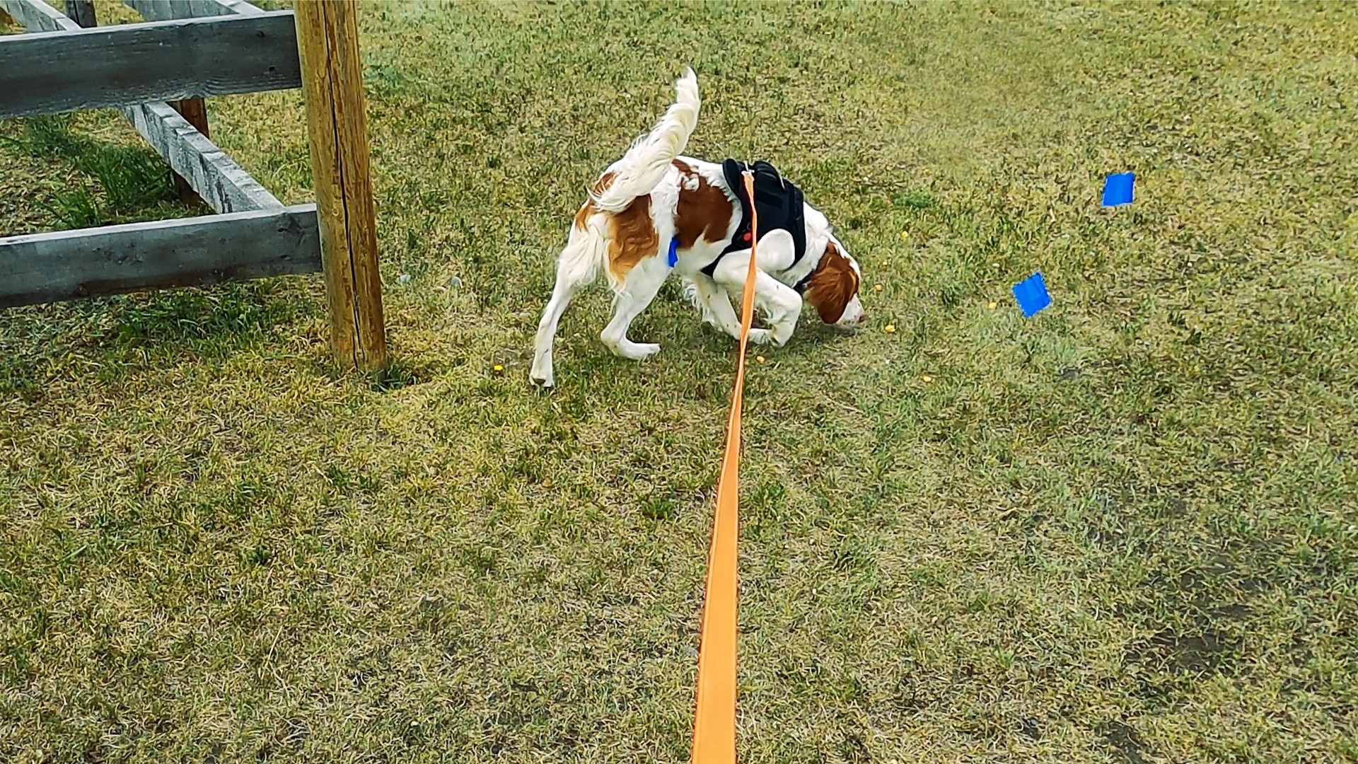 Photo of Andre starting a track in the field