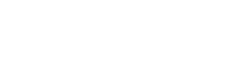 Mandarin Blueprint Logo