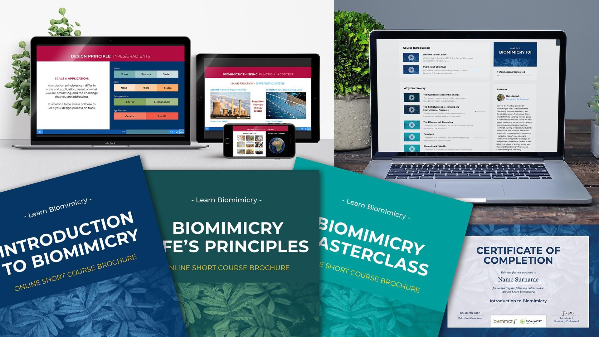 Biomimicry Course Overview