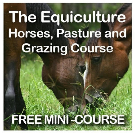 The Equiculture Horses, Pasture and Grazing Course